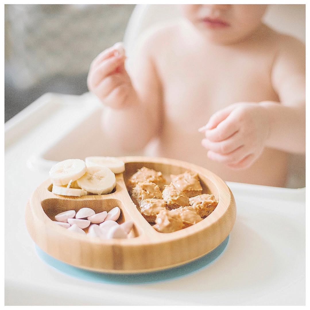 Bamboo or Stainless? Find the Right Baby Plate for Your Family