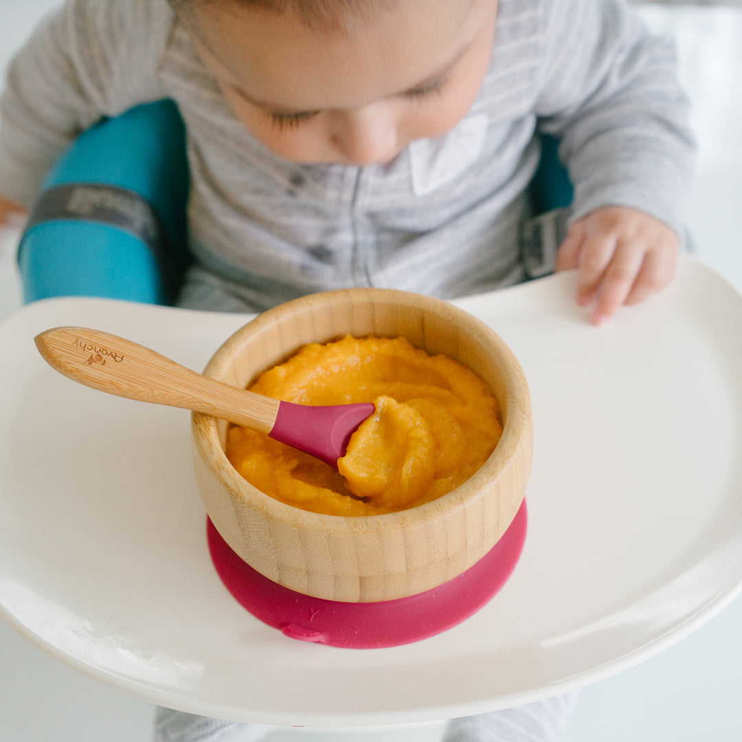 Baby & Toddler Puree No. 15 From MamaMemoire - Avanchy Sustainable Baby Dishware