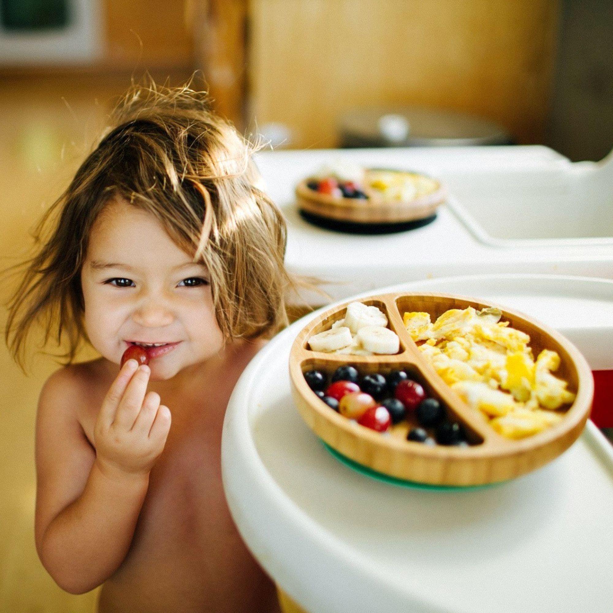 Suction cup plates for toddlers hotsell